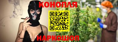apvp Партизанск